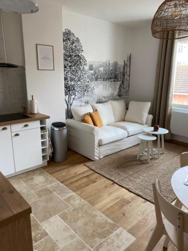 HILO Charming appartment Saint Laurent sur Saône : Appartements proche de Replonges