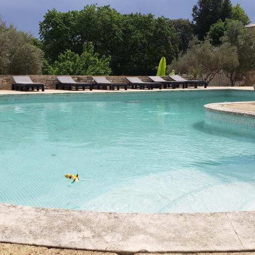 Logis d'hôte en rez de piscine : Maisons de vacances proche de Moulézan