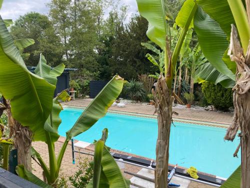Logement T2 terrasse vue sur piscine : Appartements proche de Larche