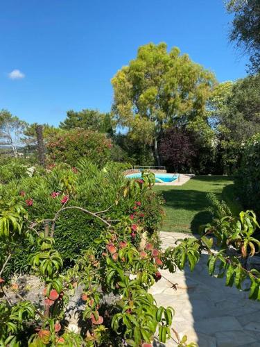 Villa la Mauvaise Herbe avec jardin et piscine chauffée : Villas proche de Mougins