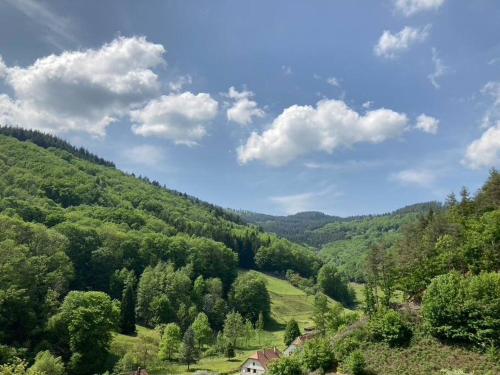 La belle vallée : Appartements proche de Breitenbach