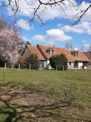 Oh ! Fleurs des champs : B&B / Chambres d'hotes proche de Chaumont-sur-Tharonne