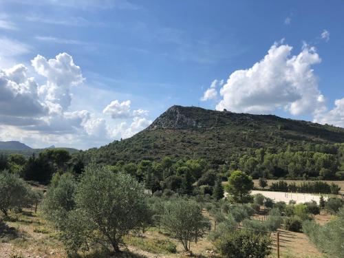 Mougere des oliviers : Maisons de vacances proche de Buzignargues