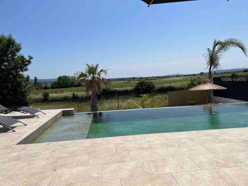 Villa piscine à débordement : Villas proche de Murviel-lès-Montpellier