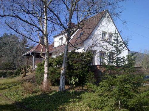 Villa de charme Alsace - Riquewihr : Villas proche de Riquewihr