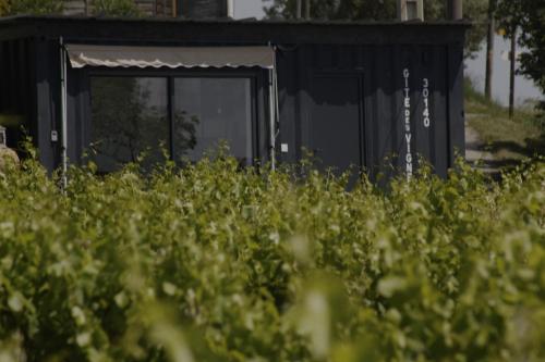 Conteneur face aux vignes : Appartements proche de Canaules-et-Argentières