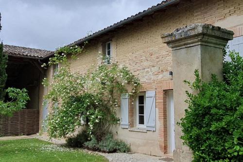 Gite classé quatre étoiles dans les dépendances du chateau de Manau : Villas proche de Sérignac