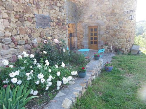 le Donjon de la Reine Margot : B&B / Chambres d'hotes proche de Saint-Just-près-Brioude