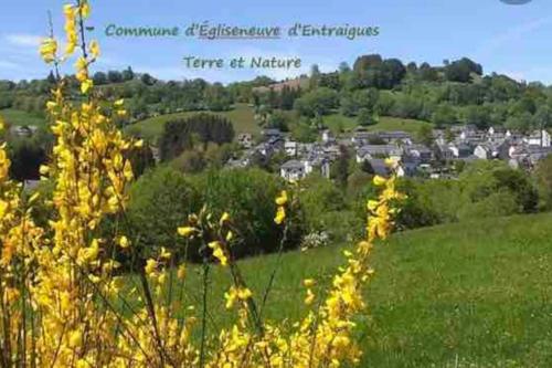 Appartement Dans un village en Auvergne sancy : Appartements proche de Compains