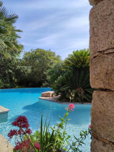 Villa A CASA DI FICU proche d'Ajaccio avec piscine et jacuzzi : Villas proche de Valle-di-Mezzana