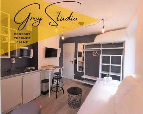 *Grey Studio* Thermes & Calme : Appartements proche de Royat