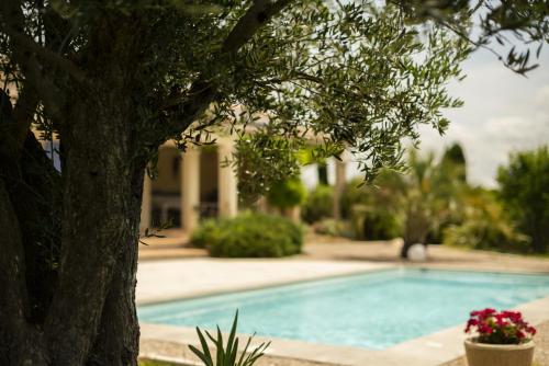 La Cavayere, villa piscine privee : Villas proche de Montirat