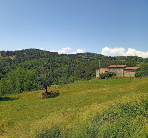 Ecrin de verdure en Ardèche verte : Maisons de vacances proche de Colombier-le-Jeune