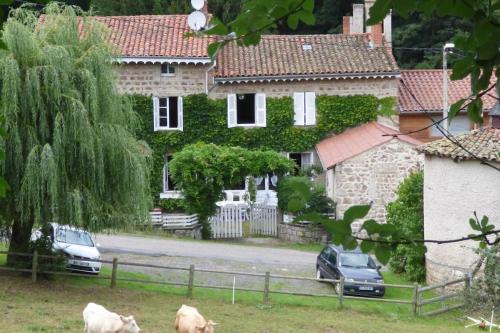 Belle maison de famille à l'écoute de la rivière : Villas proche de Boisset-Saint-Priest