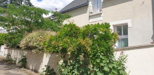 Au fil de la Loire : Maisons de vacances proche de Vouvray