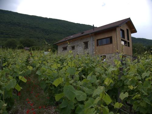 La Char'Vigne : Maisons d'hotes proche de Lochieu