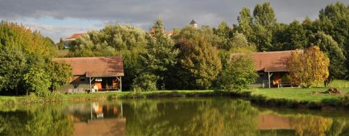 Chalet au bord d'un étang, près d'une ferme pédagogique : Maisons de vacances proche de Guébling