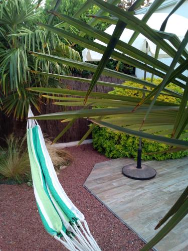 Les palmiers - Vacation Home : Maisons de vacances proche de Villedoux