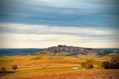 Gite Entre vignes et Loire : Maisons de vacances proche de Herry