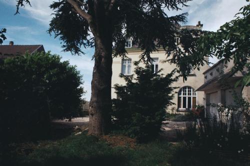 Maison d'artiste : Maisons de vacances proche de Hendecourt-lès-Ransart