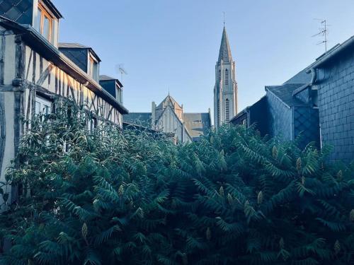 Le Saint Nicaise - Centre historique de Rouen : Appartements proche de Bihorel