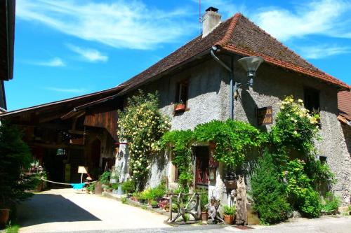 Le gîte du Tamlin : Maisons de vacances proche de Saint-Benoît