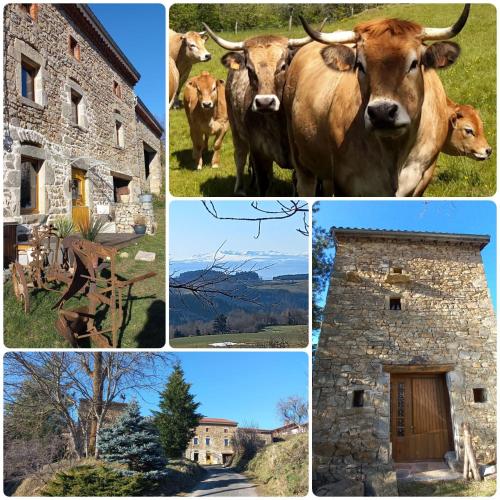 La Roucoule : Maisons de vacances proche de Valz-sous-Châteauneuf