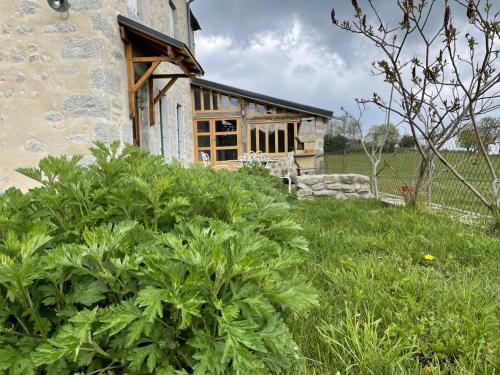 Les Fleurs de Gentiane, proche Laguiole : Maisons de vacances proche de Saint-Amans-des-Cots