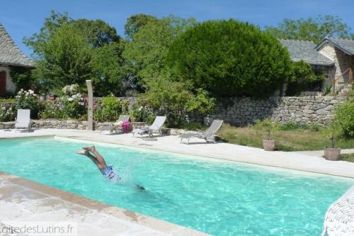 Gîte 2/4 pers, Piscine-Wifi Calme, nature : Maisons de vacances proche d'Aurillac