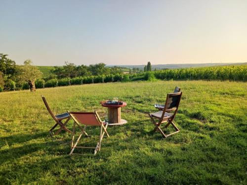 Maison 5 chb au coeur des vignes - Anjou : Maisons de vacances proche de Champ-sur-Layon