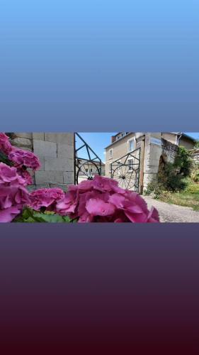Gîte 4 etoiles à la campagne : Maisons de vacances proche de Dangé-Saint-Romain