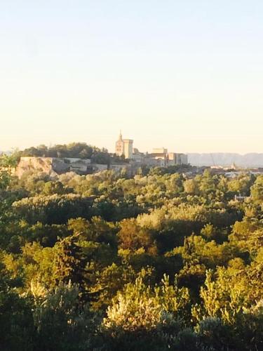 Maison 4/5 pers vue imprenable à 10 min d'Avignon : Maisons de vacances proche de Villeneuve-lès-Avignon