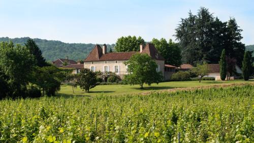 Château Gautoul : B&B / Chambres d'hotes proche de Montcabrier