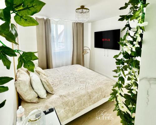 Naturally Suite : Appartements proche de Fréthun