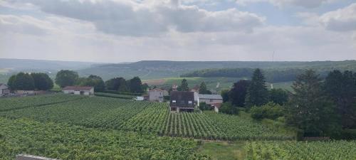 Maison au Coeur du Vignoble Champenois : Maisons de vacances proche de Sermiers