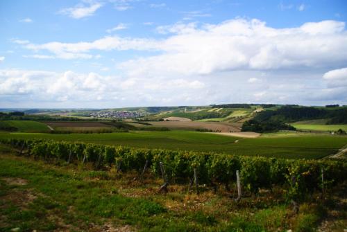 Pause nature à la ferme, campagne viticole : Maisons de vacances proche de Mailly-le-Château