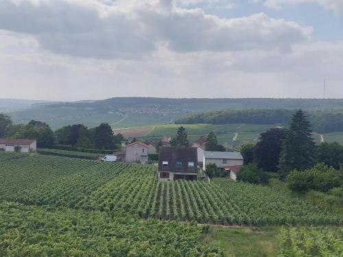 Maison au Coeur du Vignoble Champenois : Maisons de vacances proche de Saint-Imoges
