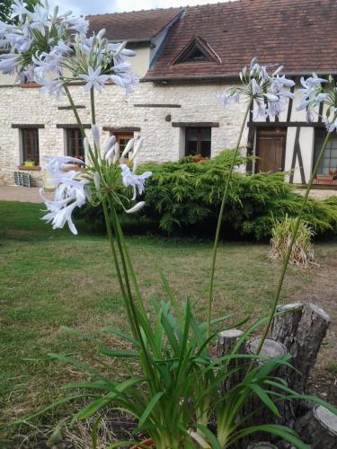 ANCIENNE LONGERE PRES DE GIVERNY : Maisons de vacances proche de Saint-Aubin-sur-Gaillon