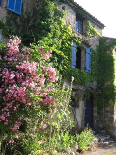 Maison de Charme en Provence (9 pers) : Maisons de vacances proche de Cotignac