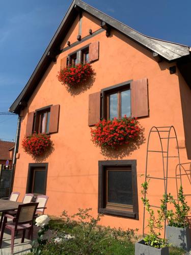 Gîte du Fronholz - Maison alsacienne avec jardin et service traiteur : Maisons de vacances proche de Reichsfeld