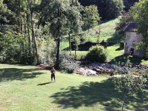 Maison avec rivière entre Genève et Annecy : Villas proche de Franclens