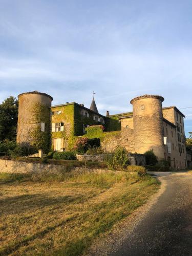 Chateau de Montcuquet : B&B / Chambres d'hotes proche de Fréjeville