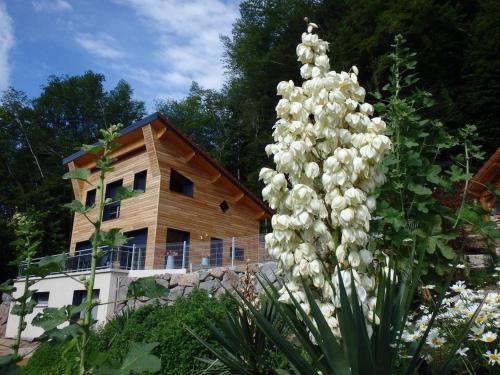 Villa Cora Venez avec spa : Maisons de vacances proche de Sainte-Marie-en-Chaux
