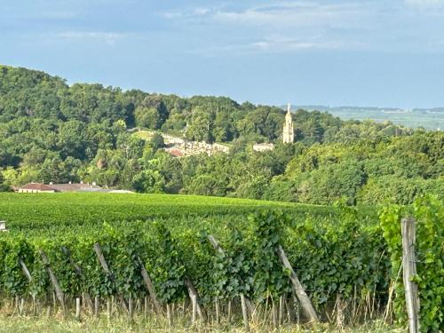 Chambres d-hôtes Le Coeur des Vignes : Sejours chez l'habitant proche de Castelviel