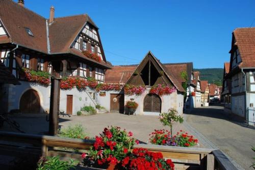 Gîte Vignoble de Cléebourg : Maisons de vacances proche de Dieffenbach-lès-Wœrth