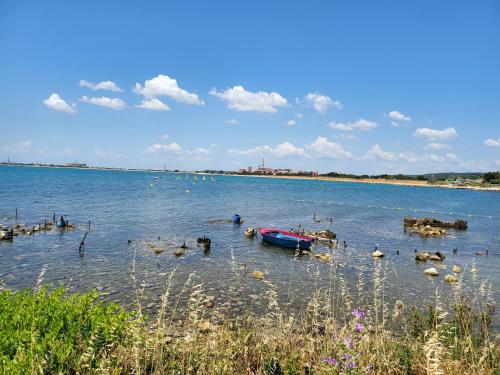 Les pieds dans l'eau, à 5 km de Martigues : Maisons de vacances proche de Port-de-Bouc
