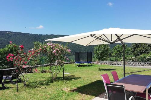 Magnifique villa avec parking gratuit : Maisons de vacances proche d'Esplantas