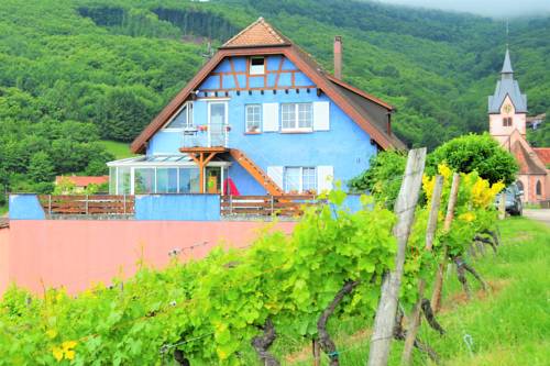 Domaine Bohn Green winehouse : Maisons de vacances proche d'Albé