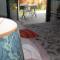 Sejours chez l'habitant Toulouse Metropole Chambre Privee de Luxe - SDB WC privee Terrasse Piscine Aqua Bike Privees : photos des chambres