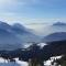 Chalets Chalet montagne 11 p Grand Massif 100 m telecabine : photos des chambres
